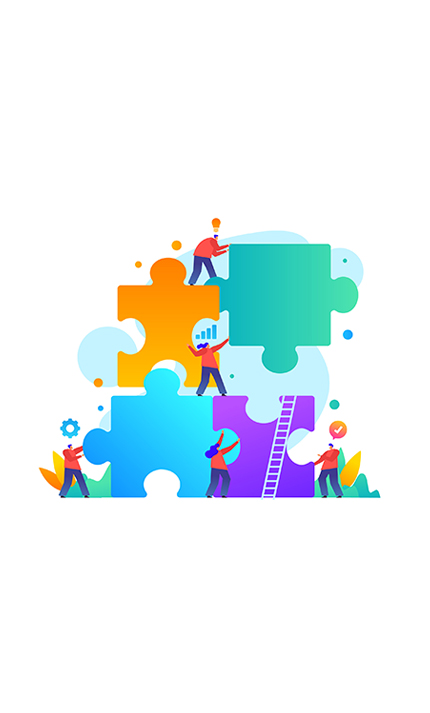 software integration